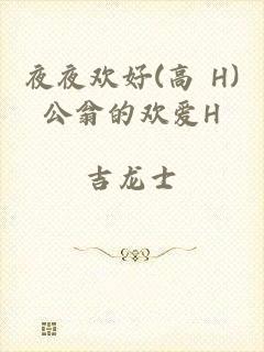 夜夜欢好(高 H)公翁的欢爱H